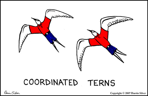 2007-03-Coordinated-Terns