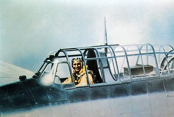 Bush cockpit 2